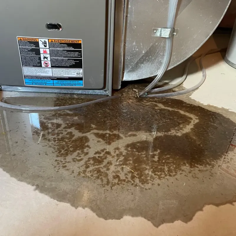 Appliance Leak Cleanup in Bal Harbour, FL